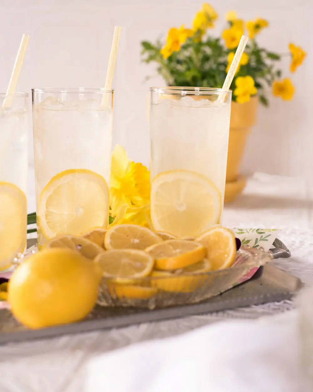 Zwei Gläser hausgemachte Limonade mit Zitronenscheiben und Kräutern.